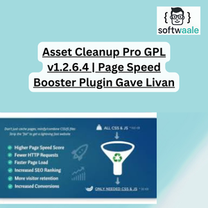 Asset Cleanup Pro